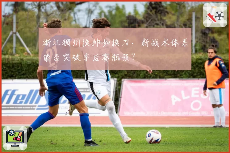 浙江稠州换帅如换刀,新战术体系能否突破季后赛瓶颈?